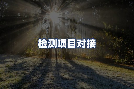 检测项目对接