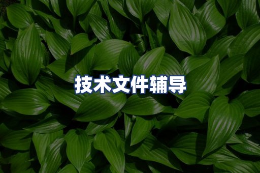 技术文件辅导