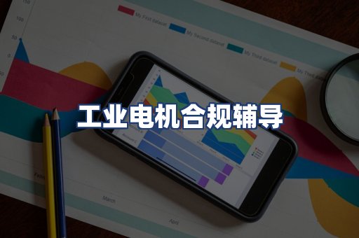 工业电机合规辅导